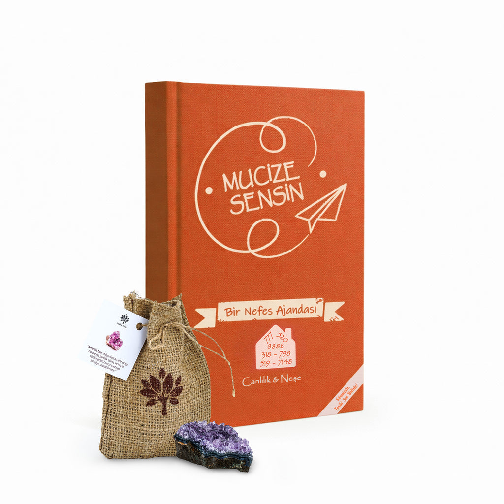 Yuva & Mülk