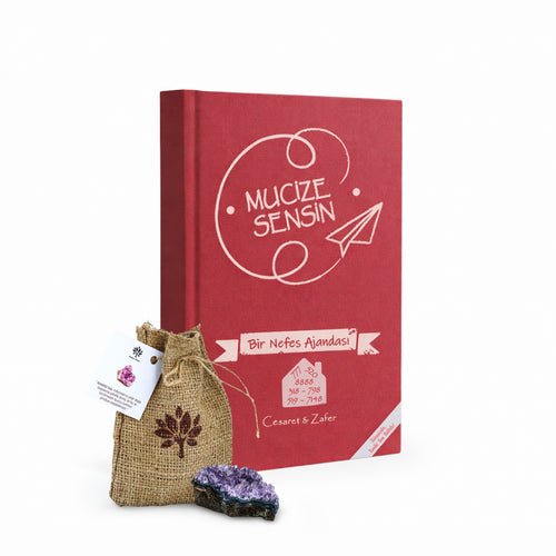 Yuva & Mülk